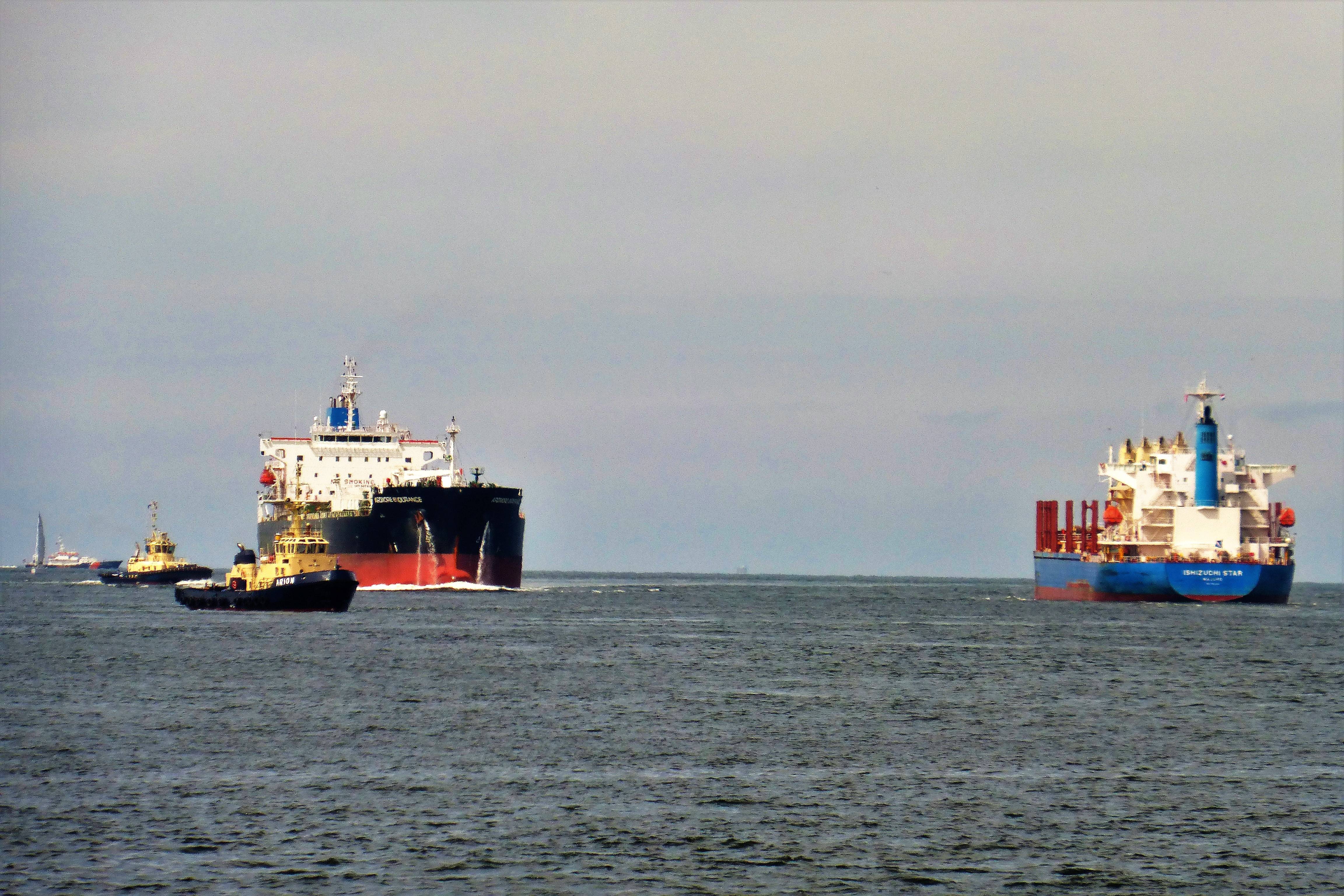 Pieren IJmuiden   04-07-21 